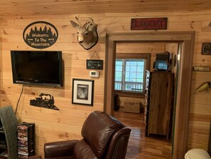 TV, fireplace, DVD player, video library