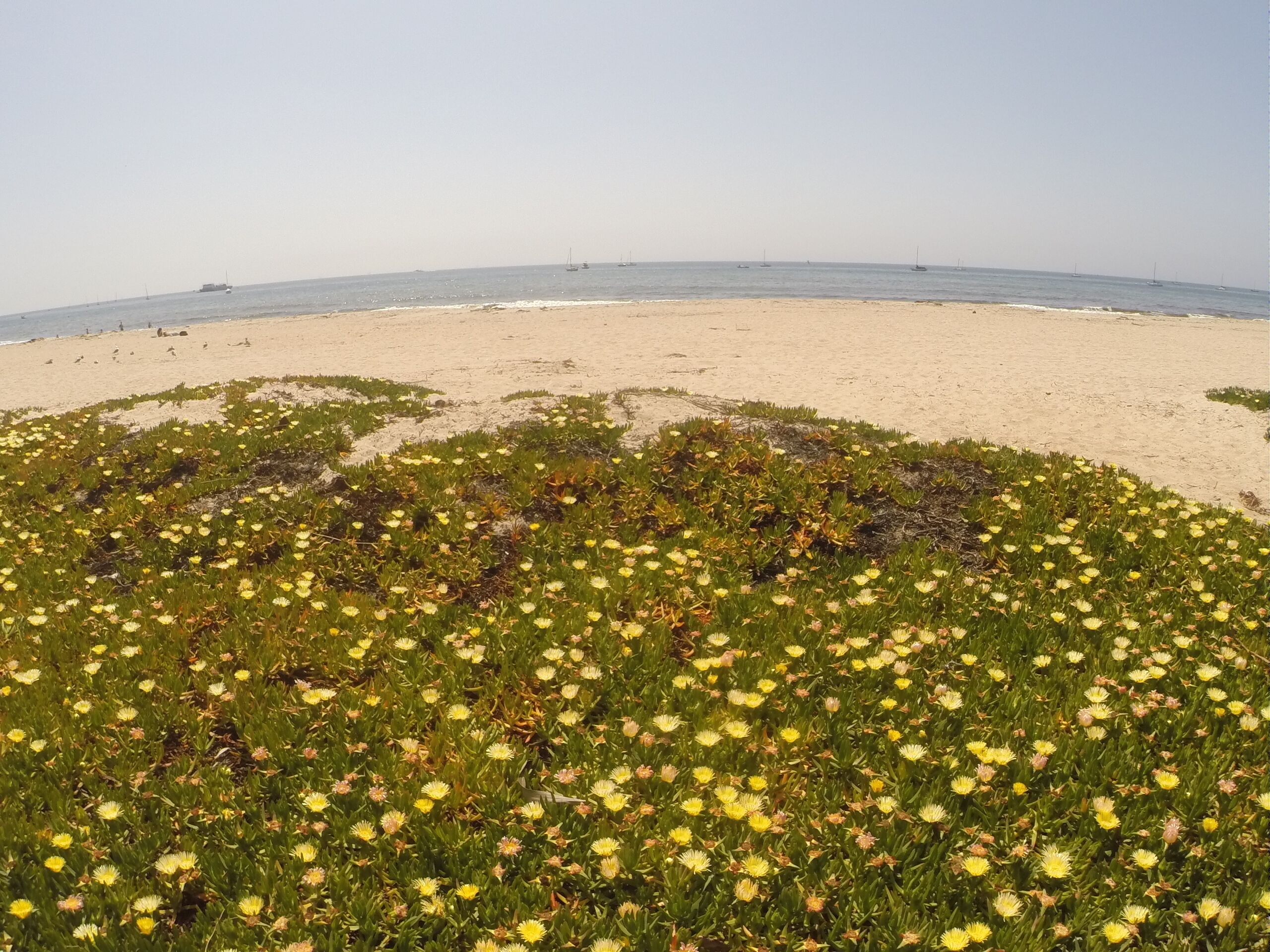 Accommodatie ligt op het strand