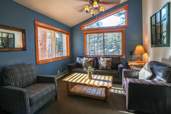 テレビ、暖炉、DVD プレーヤー