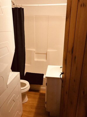 Bathtub, hair dryer, towels, soap