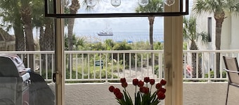 Ocean View 3bedroom / 4bath Walkout i Palmetto Dune