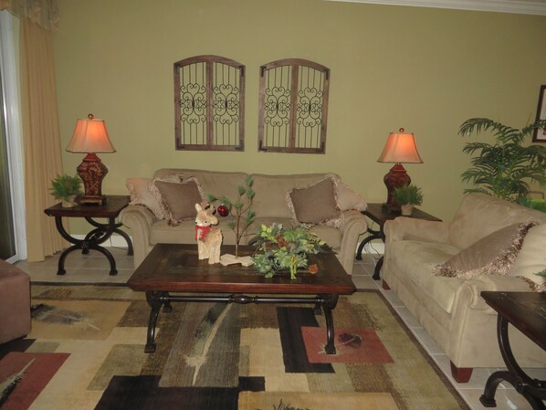 电视、DVD 播放器、书、音乐库