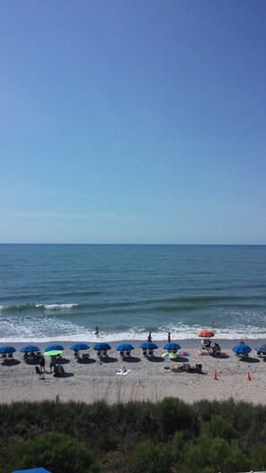 On the beach - Myrtle Beach Oceanfront Condo. July 4 weekend open Low Prices. (Myrtle Beach)