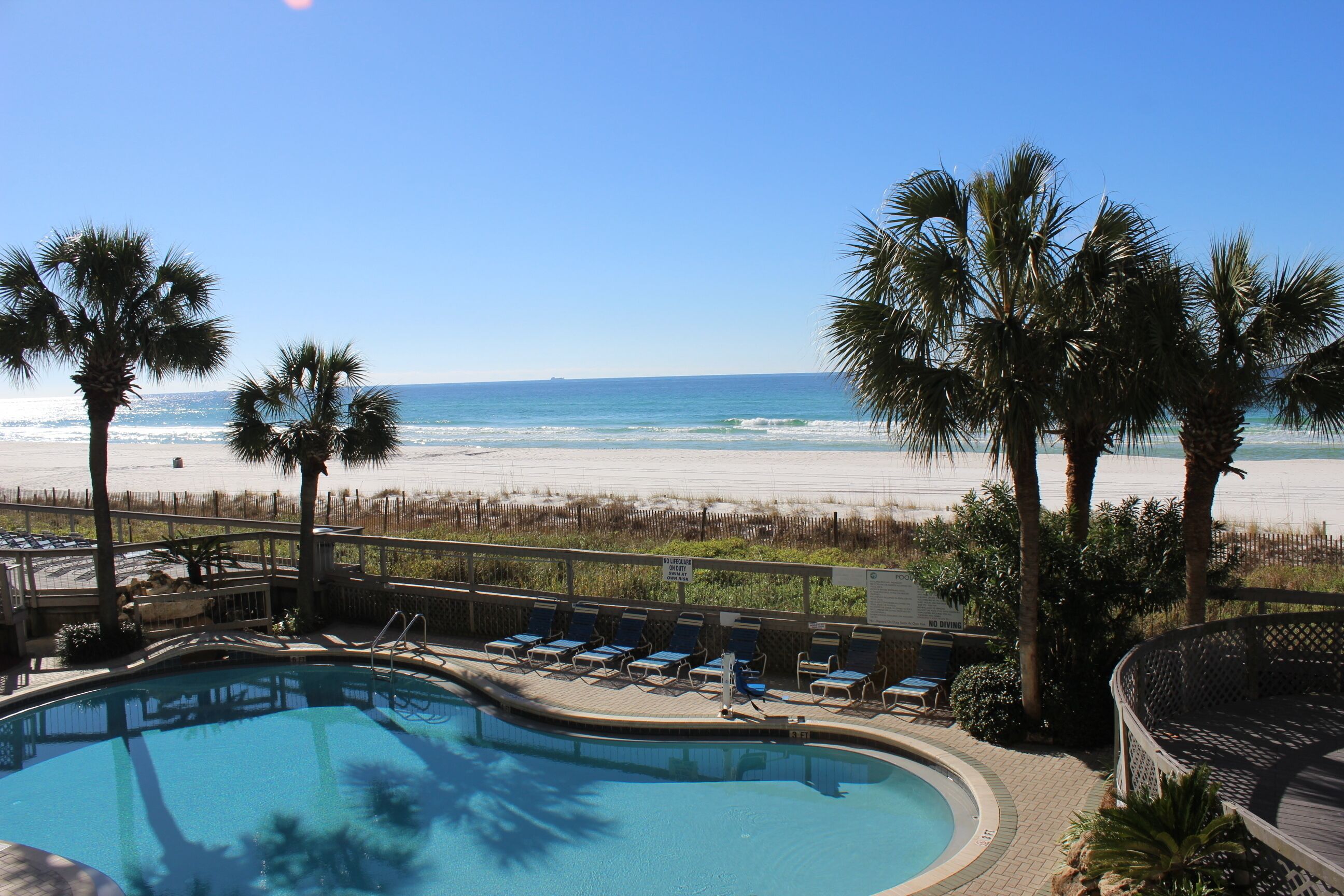 A pool area with lounge chairs and palm trees, overlooking a beach and ocean.