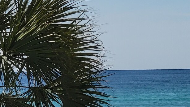 På stranden