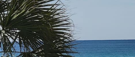 海灘