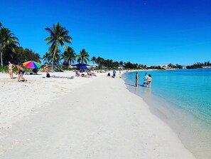 A beach with clear turquoise water, palm trees, and people sunbathing.