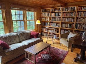 Smart TV, fireplace, books, music library