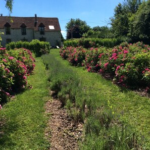 Àrea exterior de l'allotjament