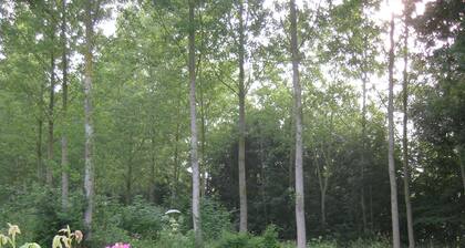 Charming cottage in 9 ha park with lake, toys/swing set/ping pong... Paris 80km