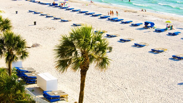 Une plage bordée de rangées de chaises longues et de parasols bleus, de palmiers, et offrant une vue dégagée sur l’océan.