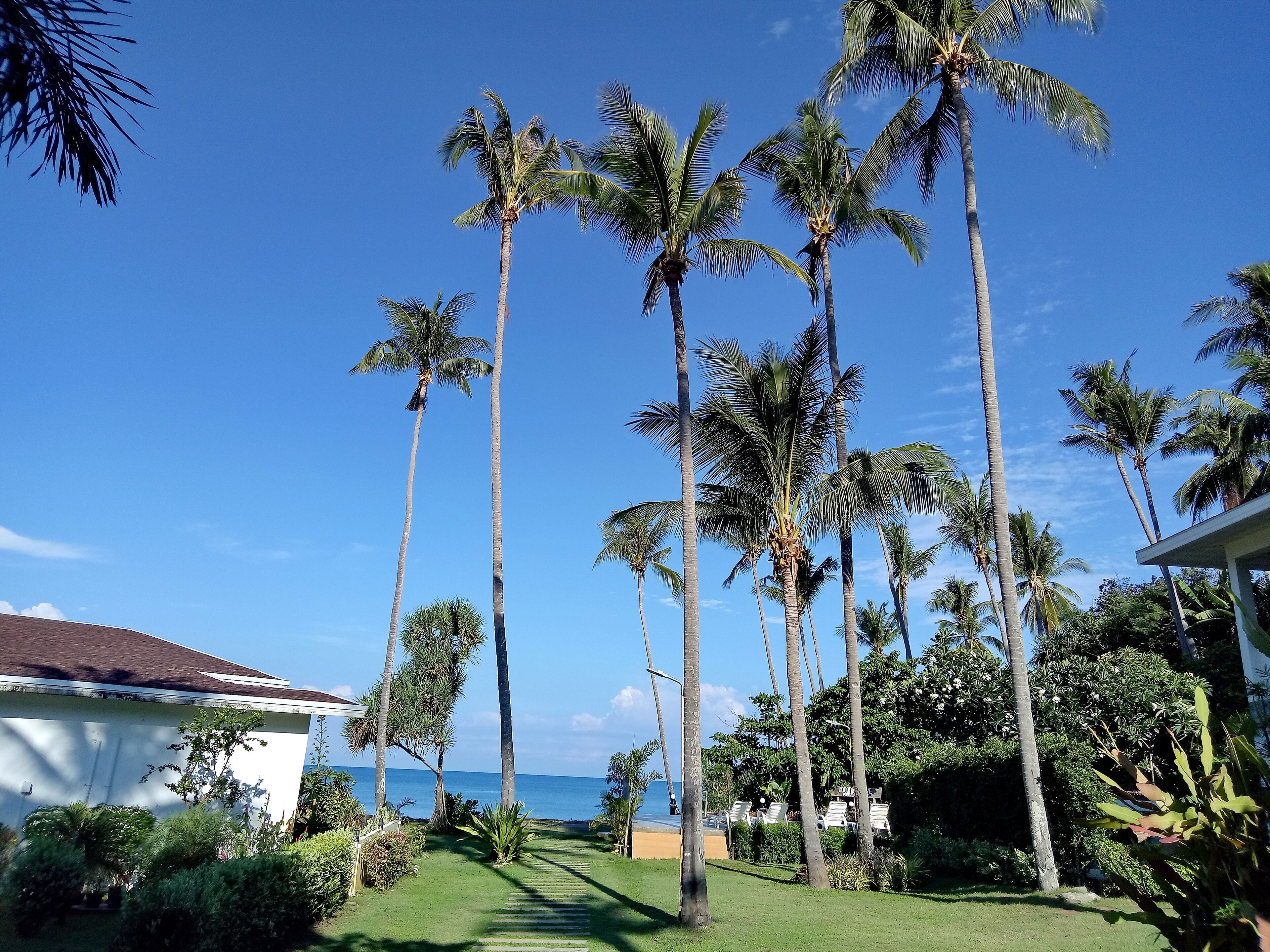 10 Best LongTerm Rentals In Krabi, Thailand Updated 2024 Trip101