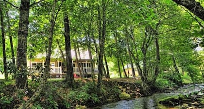 Come Enjoy Trout Fishing In The Rushing Creek