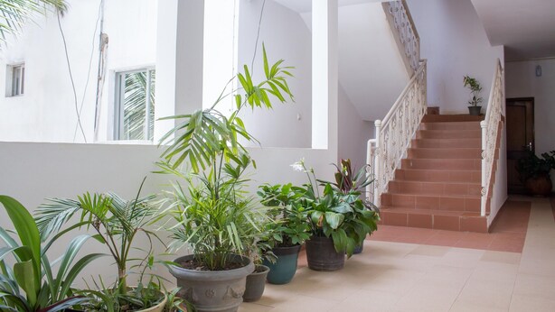Staircase - Residence Gogo Sara (Dakar)