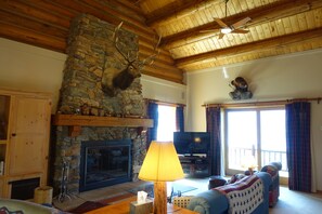 TV, fireplace, DVD player, books