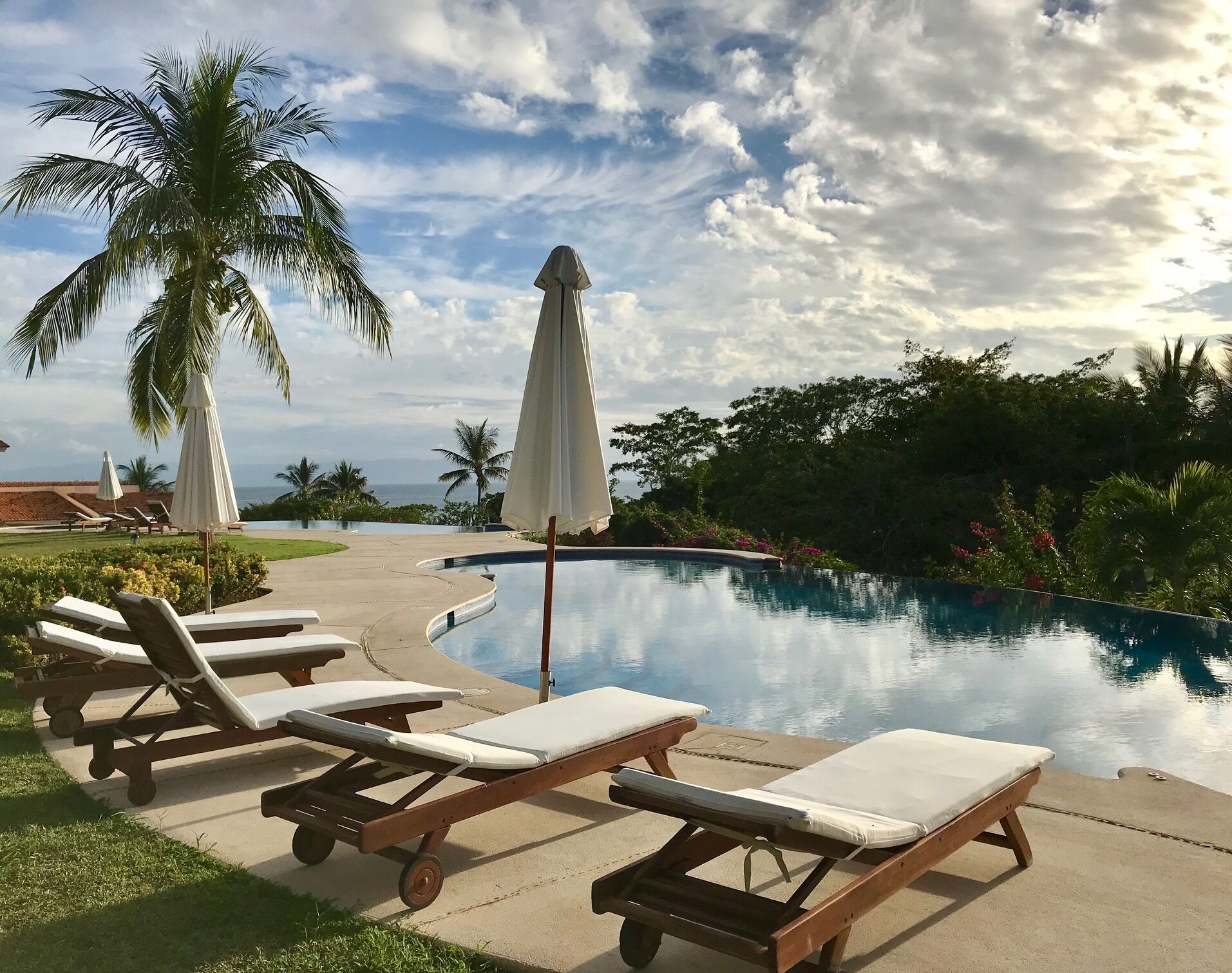 A poolside area with lounge chairs and umbrellas, palm trees, and a clear sky.