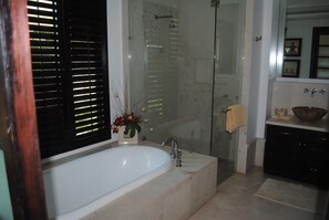 Bathtub, jetted bath, hair dryer, towels