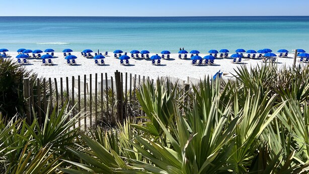 Une plage bordée de rangées de parasols bleus et de chaises longues blanches.