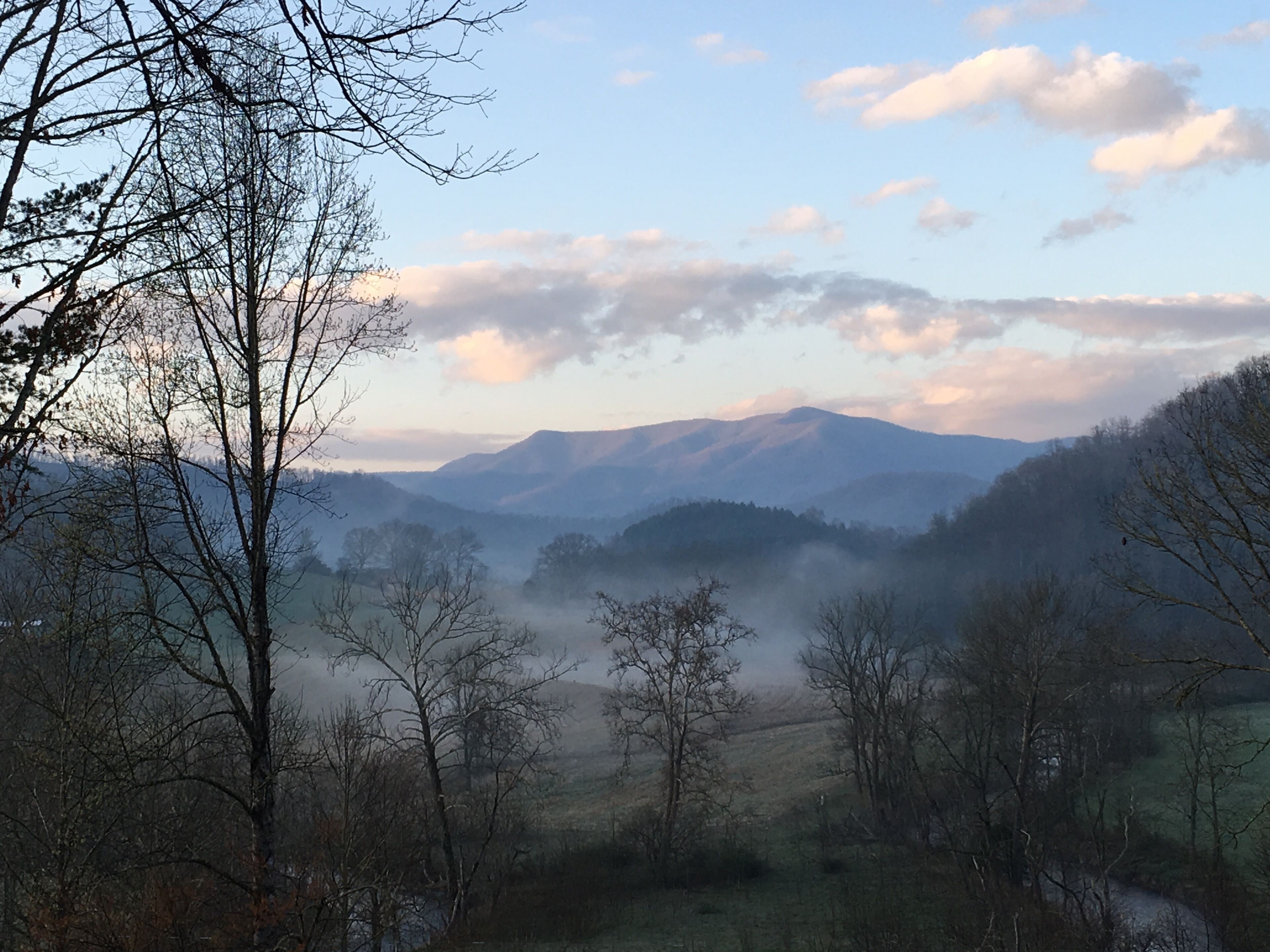 All KING BEDS in the bedrooms. Mountain Views, Pets OK, WiFi, Sat TV, Firepit