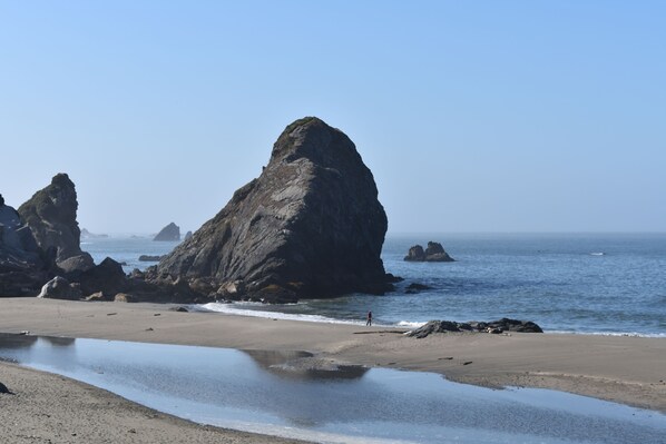 在海灘附近、躺椅