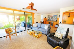 Smart TV, DVD player, books, stereo