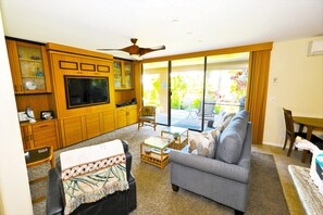 Smart TV, DVD player, books, stereo