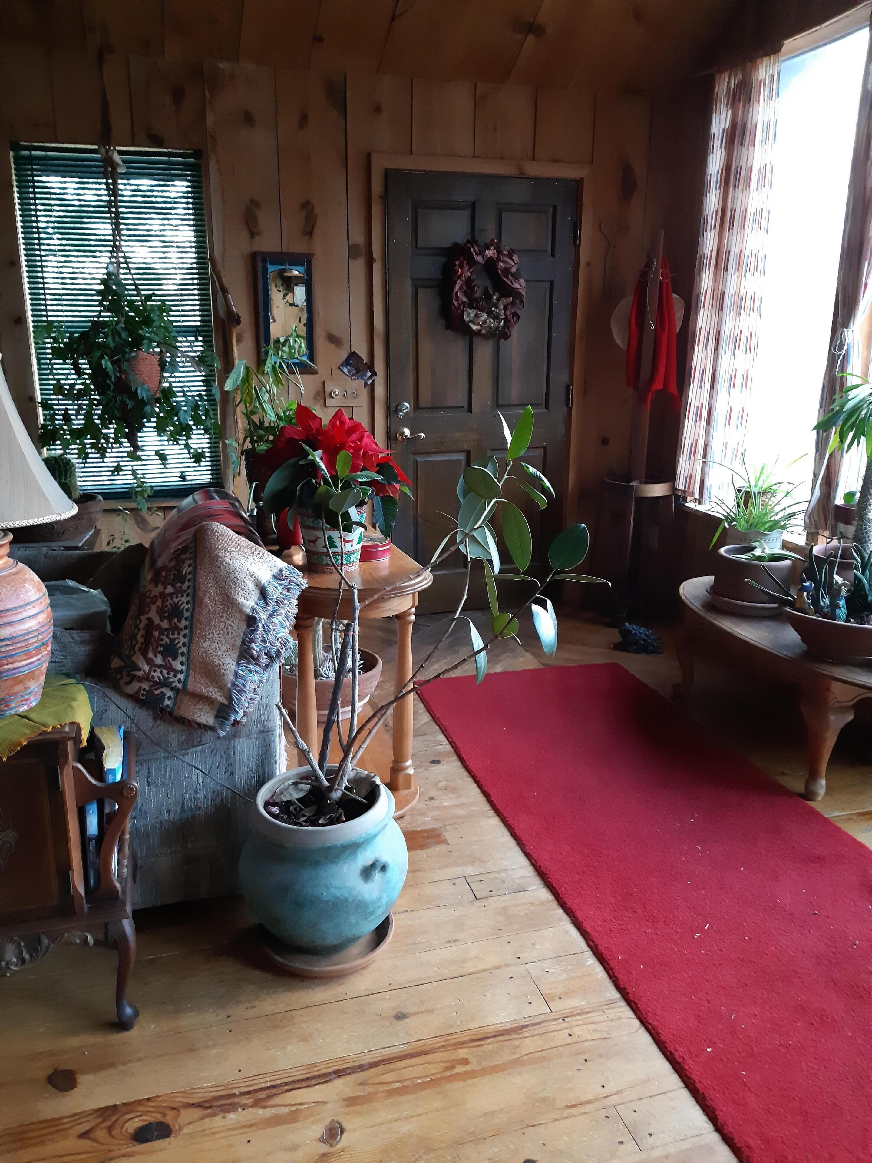 Cabin with veiw of Sugarloaf