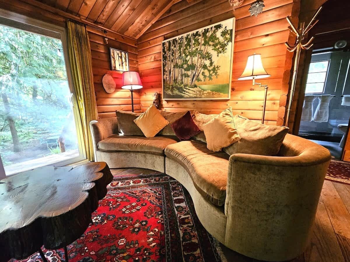 スマートテレビ、暖炉、書庫、ステレオ