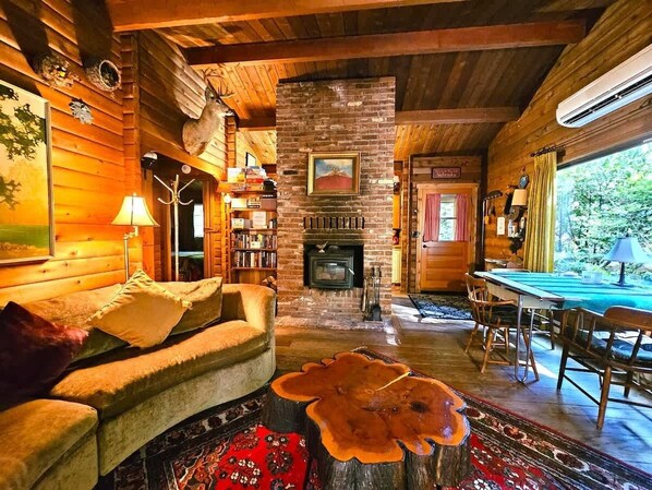 Smart TV, fireplace, books, stereo