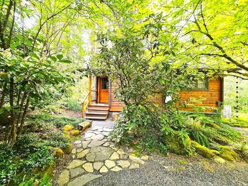 Woodsy Dream Cabin w/ Hot Tub & Wi-Fi