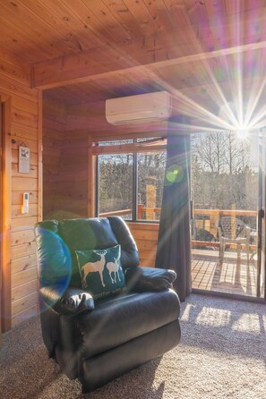 Smart-tv, eldstad och dvd-spelare