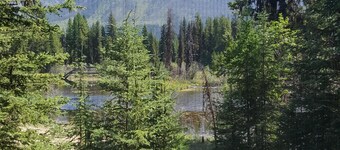 "Deer Leap" maalaismainen mökki piilotettu mäntyjen keskuudessa.  