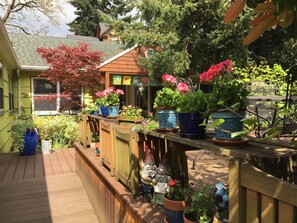Une terrasse en bois agrémentée de plantes en pot et de statuettes de nains de jardin.