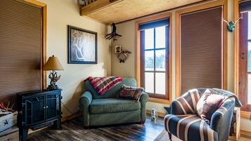 TV, fireplace, books