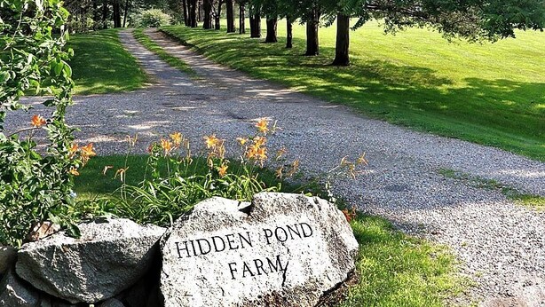 Un camino de grava conduce a un marcador de piedra con la inscripción 'Hidden Pond Farm'.