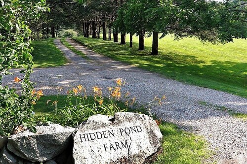 Suloinen mökki Cape Cod historiallisessa Rt 6A