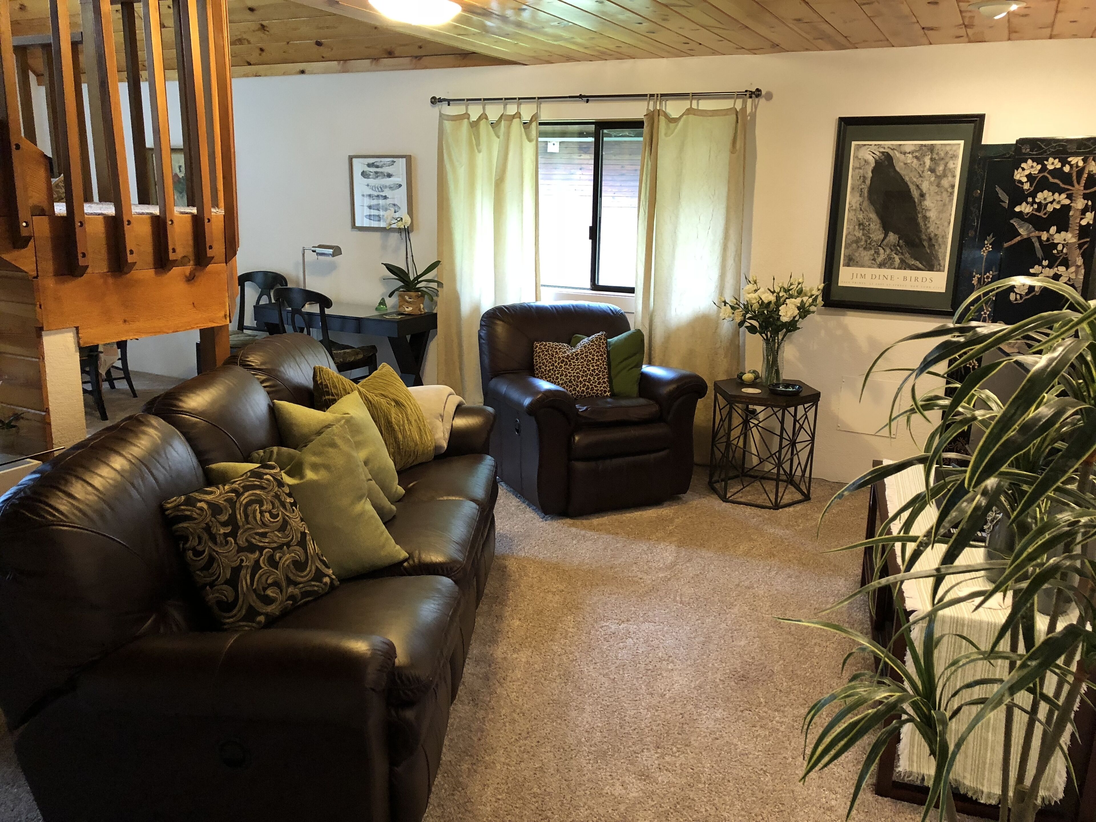 Charming Island Chalet, Big Kitchen, Relax, Quiet Forest Setting, Starry Nights