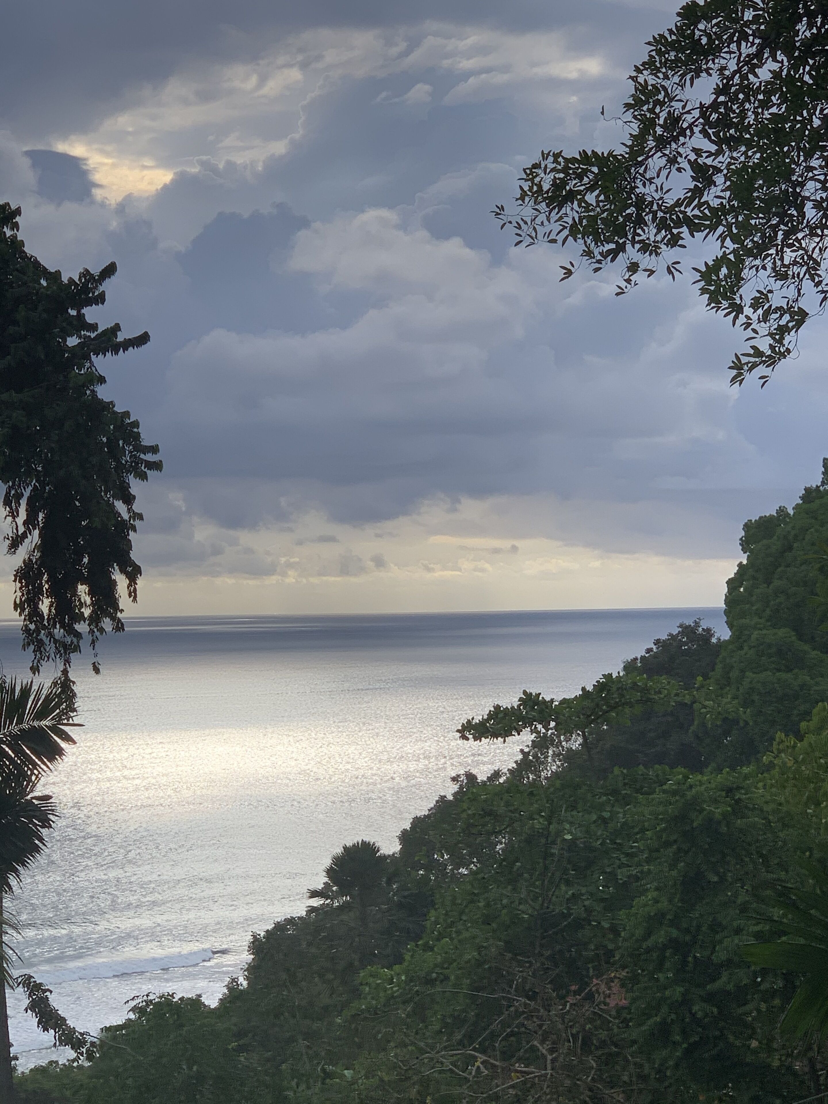Un paysage côtier caractérisé par une végétation luxuriante et une vue sur la mer sous un ciel nuageux.