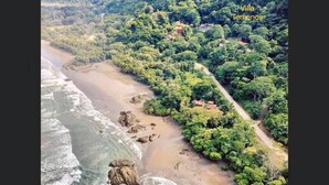 Luftaufnahme einer Küstenlandschaft mit Strand, dichter Vegetation und einem Pfad, der durch das Grün führt.