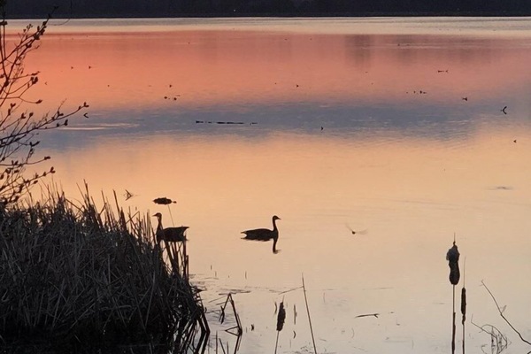 Morning sunrise over the lake from the dock area