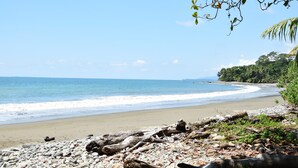 A beach with pebbles, driftwood, and greenery. - Jungle Retreat a House on the beach in the middle of the jungle (Rincon)