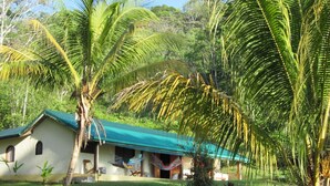 A house with a green roof, surrounded by lush greenery and palm trees. - Jungle Retreat a House on the beach in the middle of the jungle (Rincon)
