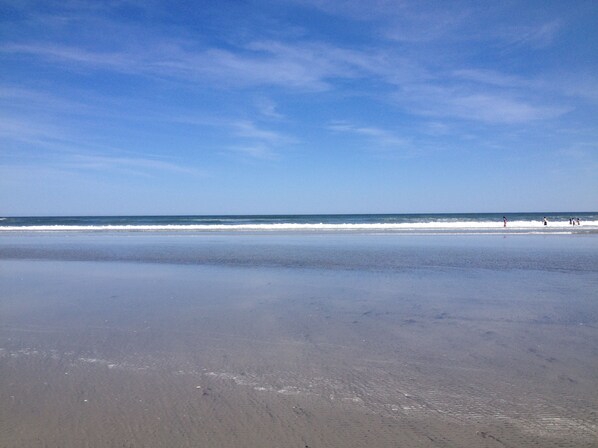 Playa en los alrededores, camastros y toallas de playa 