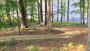 A forested area with a concrete path leading to a body of water. - Hartwell Lake deep water home, family friendly and close to Clemson and UGA (Lavonia)