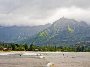 Beach - Newly Remodeled Ocean View Condo, 2 bedroom, 2 bath, No stairs!  (Princeville)