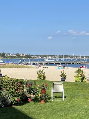 Ein Strand mit einer Rasenfläche, einer Bank und Topfpflanzen.