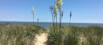 Vacation Home, Fantastic Views, Modern, Updated, Pet Friendly
