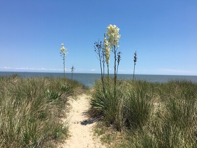 Vacation Home, Fantastic Views, Modern, Updated, Pet Friendly