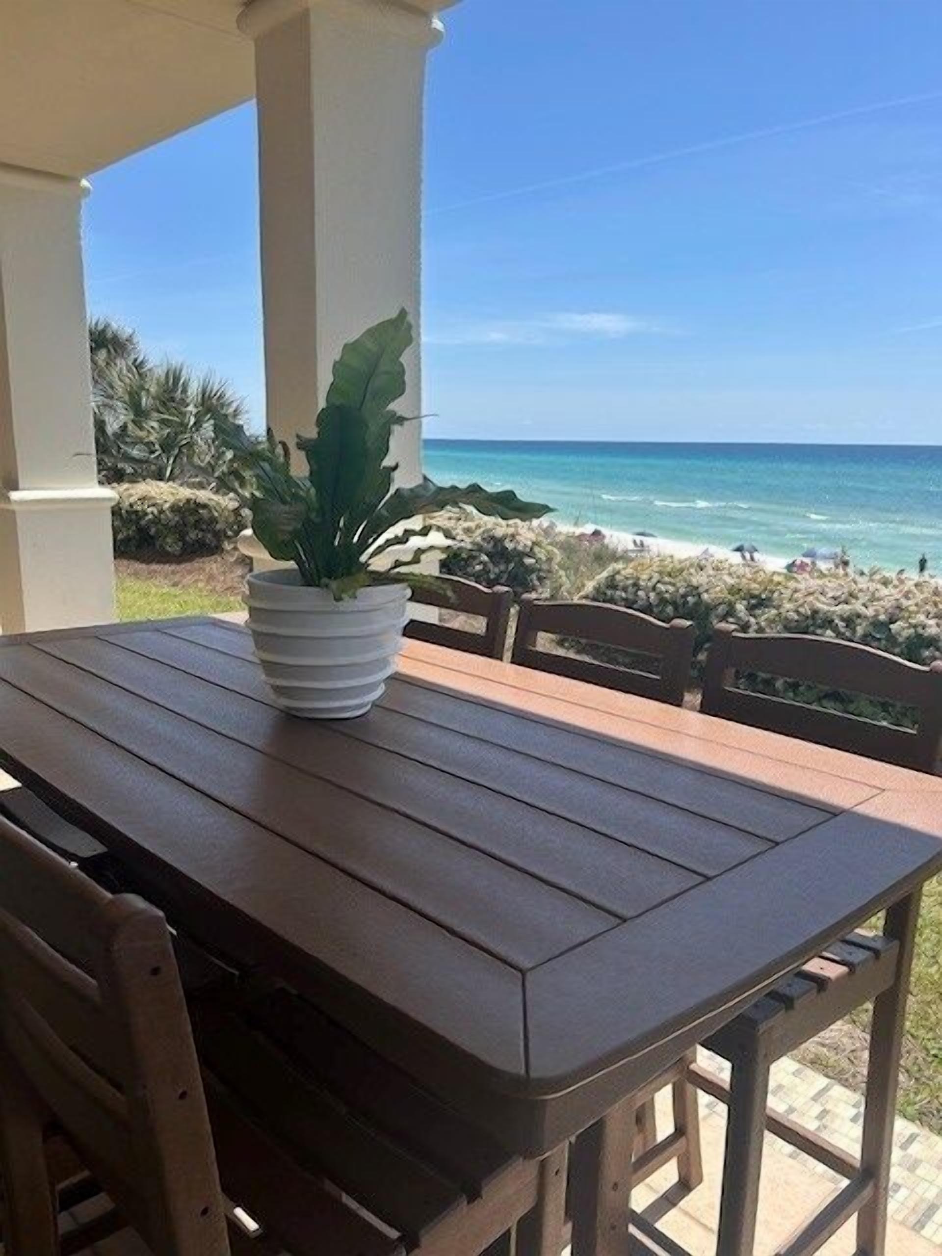 A wooden table with a potted plant, set against a view of the ocean and a clear sky.