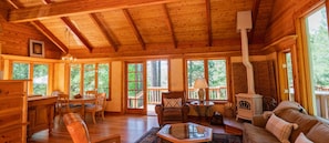 TV, fireplace, DVD player, books